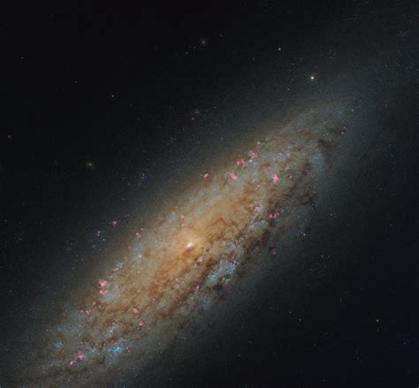 Ngc 6503 Ngc 6503 Is A Dwarf Spiral Galaxy Located In A Re Flickr