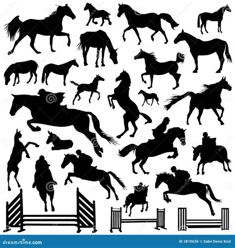 Collection Of Horse Vector Stock Vector Illustration Of Derby 3810636