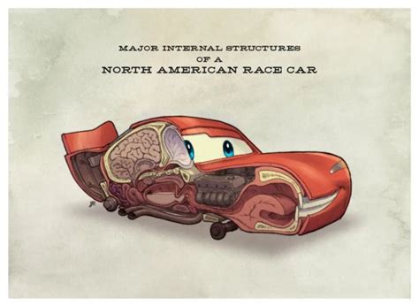 Anatomía De Los Coches De Cars