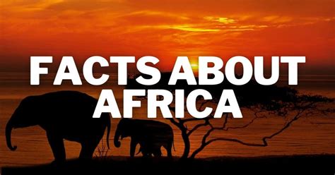 40 Cool And Interesting Facts About Africa