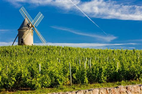 The Beaujolais Area Of Northeast France Stretches Across The