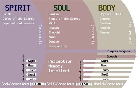 Understanding The Essence Of Body Soul And Spirit