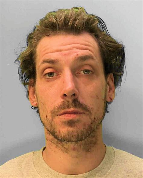 sex offender who went awol arrested brighton and hove news