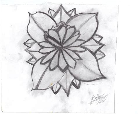 Lilypad drawing resources are for free download on yawd. How To Draw A Lily Pad Flower Easy