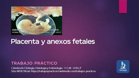 Placenta Y Anexos Fetales Trabajo PrÁctico Youtube
