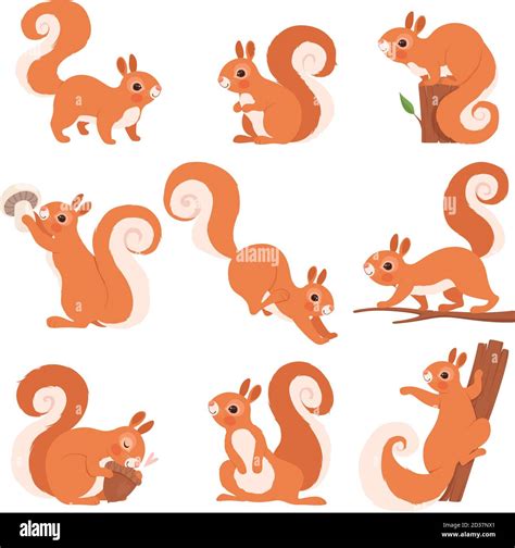 Cartoon Squirrel Funny Forest Wild Animals Running Standing And