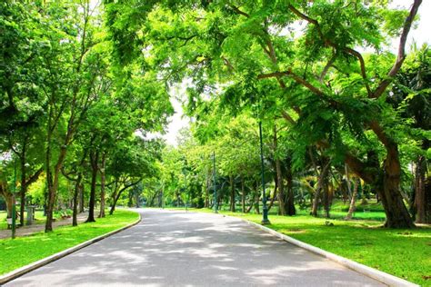 Fresh Air In Parkgreen Area Create A Good Environment In The City For