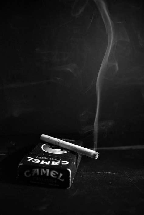 Best camel cigarettes online with delivery online store. Pin em SchönesFoto