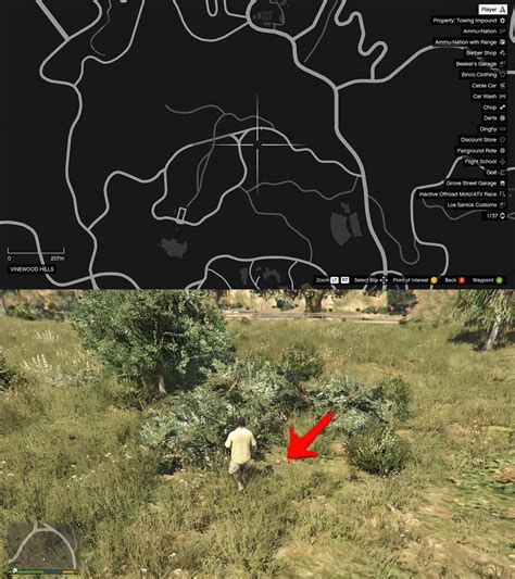 Cara Menjadi Bigfoot Di Gta 5 Dan Semua Lokasi Peyote Plants Dunia Games