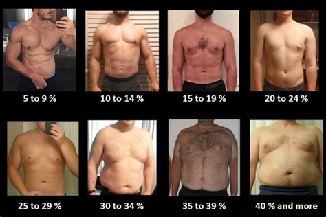 Are you in the healthy range? Body Fat Calculator For Men - ASK DR. KOTB