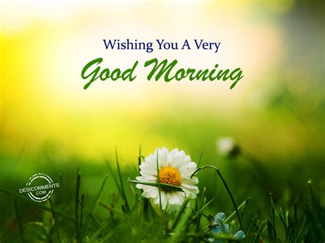 With nearly 200 countries and thousands of languages spoken between them, it's always useful to know how to say good morning in each of them. Wishing You A Very Good Morning - DesiComments.com