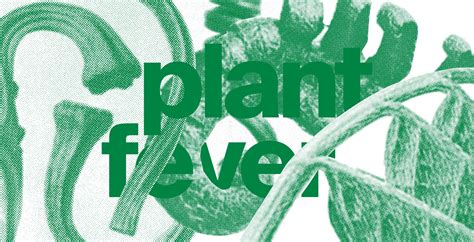plant fever design aus der pflanzenperspektive museum für gestaltung zürich