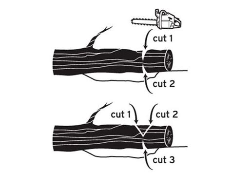 How to tell when to sharpen a chain. 9 Things Everyone Should Know About Chainsawing