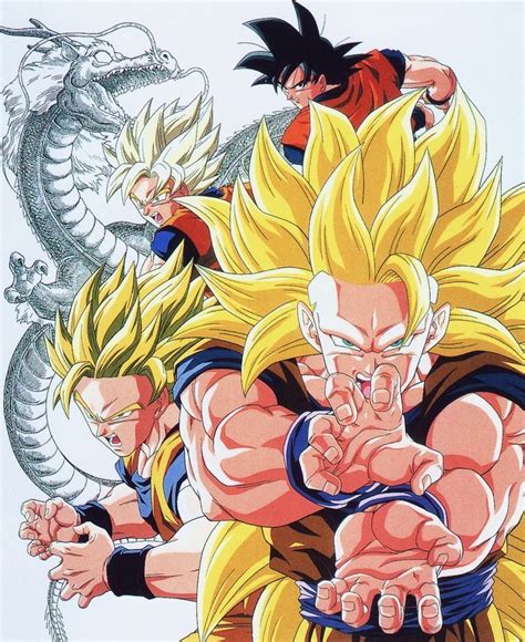 Goku Fases Dibujos Personajes De Dragon Ball