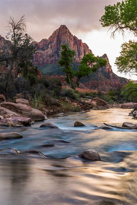 The Watchman In Zion National Park At Sunset Zion National Park