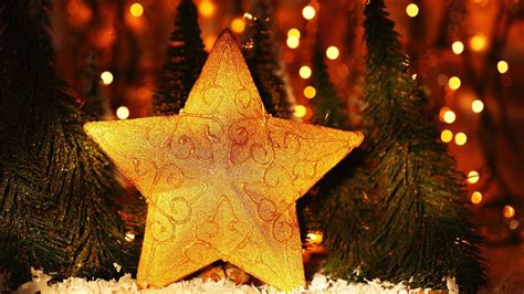 Golden Star In Christmas Trees Background Hd Christmas Star Wallpapers