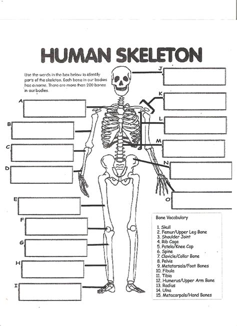 New 828 Fraction Labeling Worksheet Fraction Worksheet