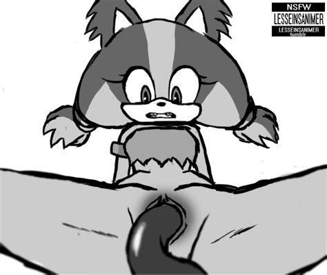 Rule 34 Animated Female Furry  Lesseinsanimer Penetration Sega Sex Simple Background Sonic