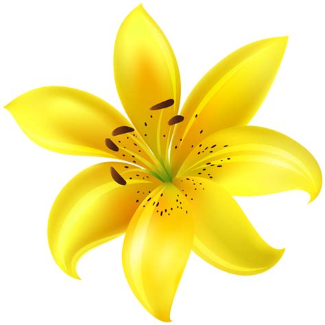 Yellow Flower Clip Art Image Yellow Flower Art Flower Clipart