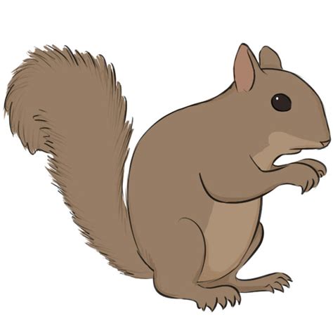 Top 82 Simple Squirrel Sketch Best Ineteachers