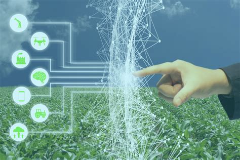 How Ai Technology Is Revolutionizing Agriculture Ambiq