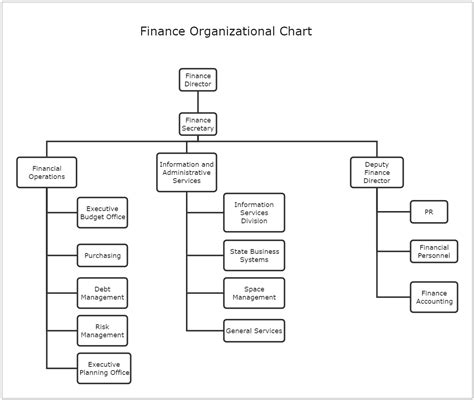 Finance Organization Chart Template