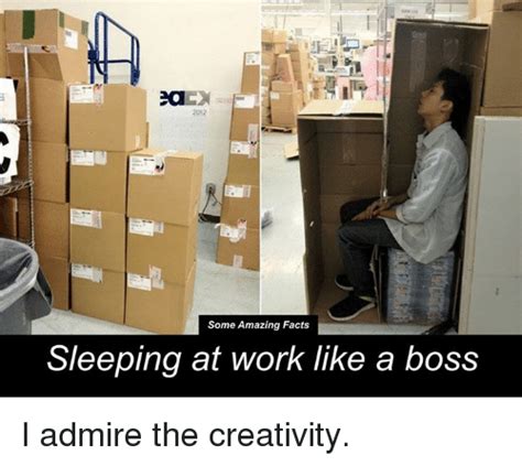 2a 2012 Some Amazing Facts Sleeping At Work Like A Boss I