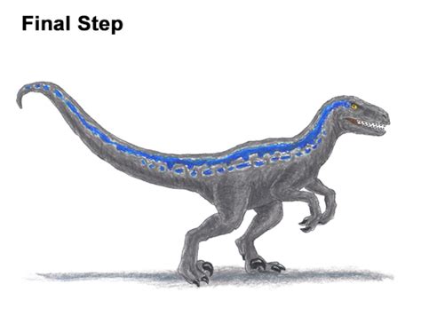How To Draw Blue Velociraptor Jurassic Wolrd Video And Step By Step