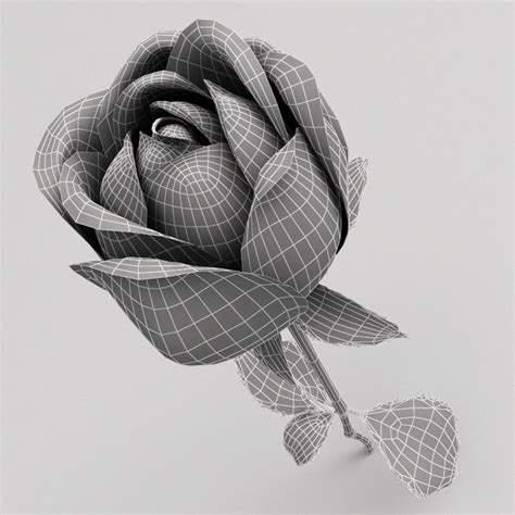 3d Rose Drawing At Explore Collection Of 3d Rose