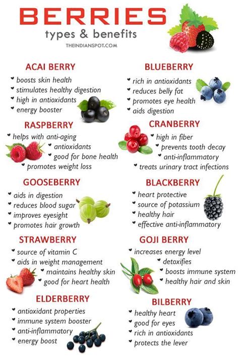 Types Of Berries And The Many Healthy Benefits They Can Offer You And