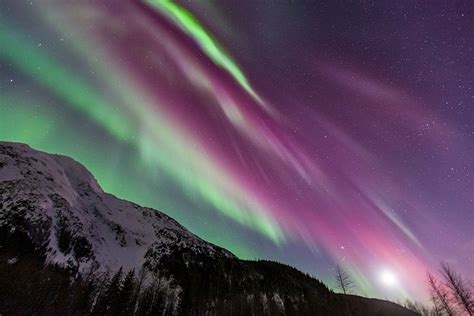 Fairbanks Alaska Northern Lights Startxo