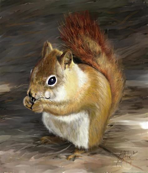 Squirrel Digital Art By Edith Hicks