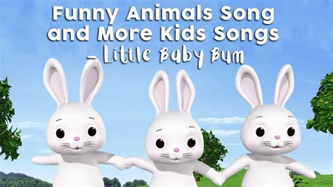 Funny Animals Song And More Kids Songs