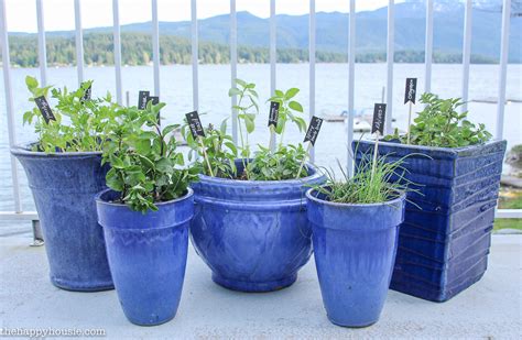 Easy Diy Kitchen Herb Garden In Deck Pots The Happy Housie