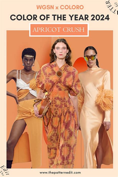 Color Of The Year 2024 Wgsn Apricot Crush Color Palettes In 2023