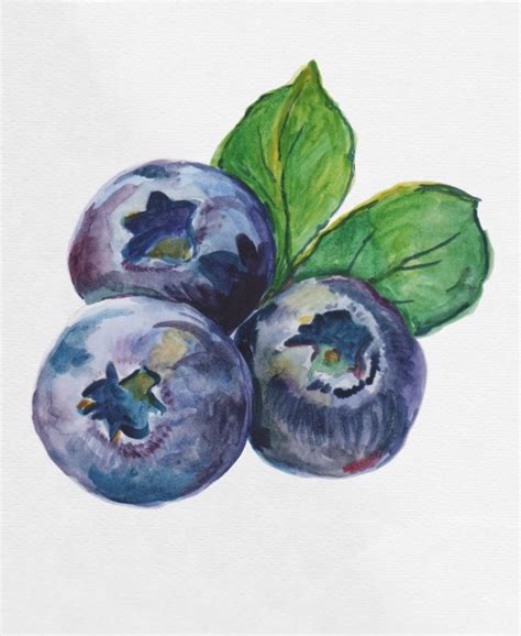 Blueberries Watercolor Art Print By Fun Stuff Society Fruit Art