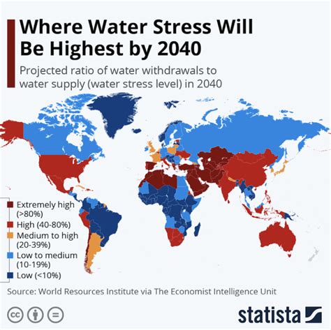 How To Survive Without Water At Home 5 Strategies For Water Shortages
