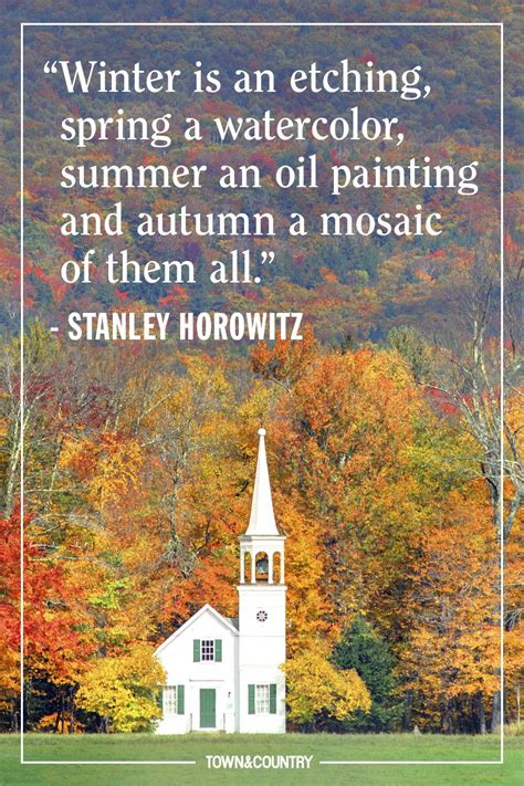 25 Cozy Autumnal Quotes To Get You Ready For Fall In 2020 Autumn