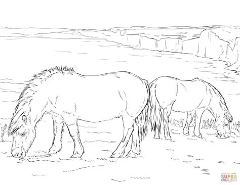 Ausmalbild Zwei Ponys grasen Ausmalbilder kostenlos zum ausdrucken