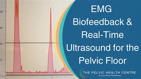 What Is Emg Biofeedback And Rtus Imaging — Laura Werner Physiotherapy