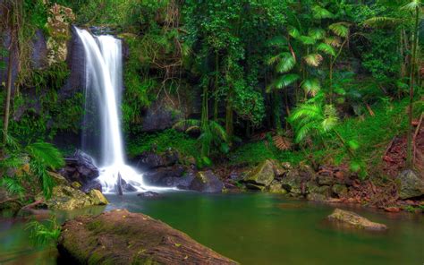 wonderful-tropical-waterfall-in-jungle-green-vegetation-rocks-full-hd
