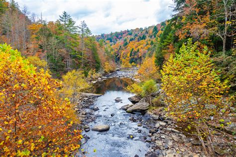 Clear Creek Fall Colors At Obed Wild And Scenic River Tennessee Oc