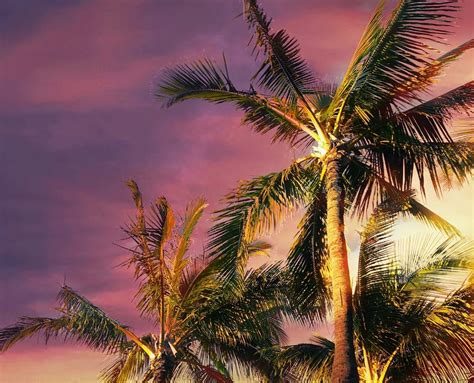beach colorful colorsplash tropical sunset hawaiiphotog...