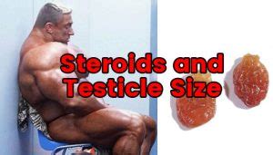 Steroids And Testicle Size Spotmebro Com