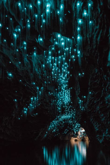 Waitomo Glowworm Caves Nature Summer Travel Destinations Beautiful