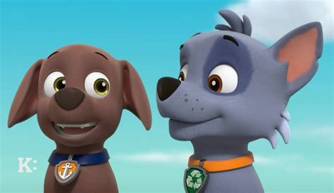 Rocky And Zuma Paw Patrol Relation Ship Wiki Fandom