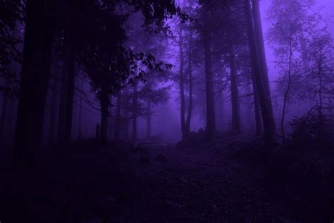 aesthetic purple on tumblr