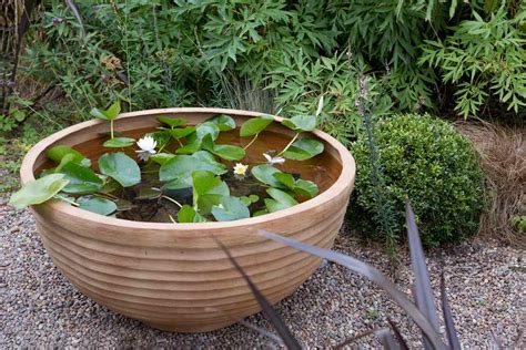 Three Ways To Make A Pond In A Pot Bbc Gardeners World Magazine