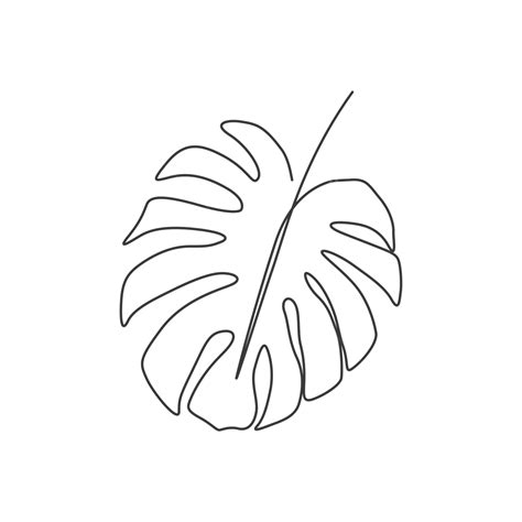 Monstera Leaf Line Art Drawing Vector Monster Drawing Leaf Drawing