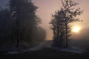 무료 이미지 경치 나무 자연 숲 통로 분기 실루엣 겨울 하늘 목재 해돋이 일몰 도로 밤 햇빛 아침